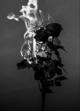 Flooristine