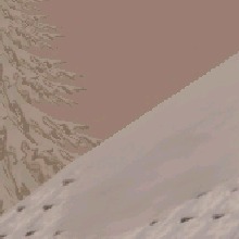 Guest_Aurora0119