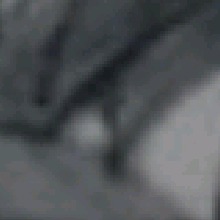 Guest_Blacki3