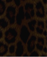 Guest_yobabyjackie