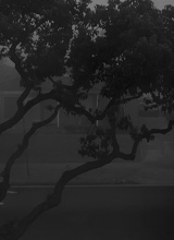 Guest_dan278531