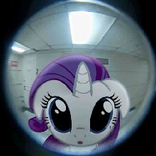 Guest_Itsmxc