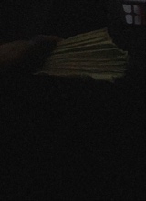 Guest_DontRunnnn