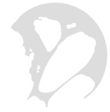 Guest_hoqu