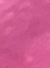 Guest_1ee12