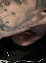 Guest_bigote30