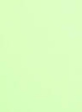 Guest_pato320650