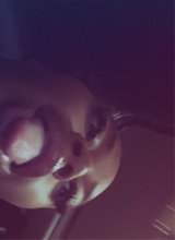 xoxosolo