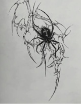 zydek