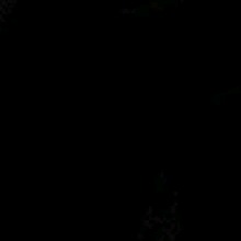 Guest_Luyxz