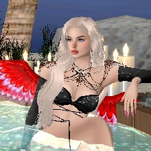 Guest_Luna713112