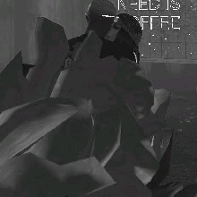 Guest_Tayne8
