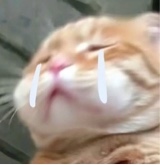 Guest_baaaabuuuu