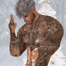 Guest_Alex393537