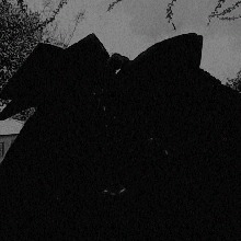 Guest_Amela17