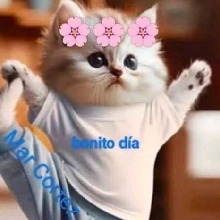 Guest_Leo428211