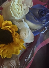 Guest_angie896269