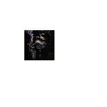 Guest_raspycalcium9382