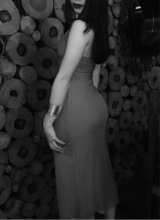 Guest_dani436582