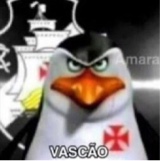 Guest_Bruna742621