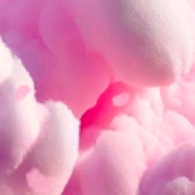 Guest_Primavera20