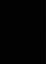 Guest_J2452040