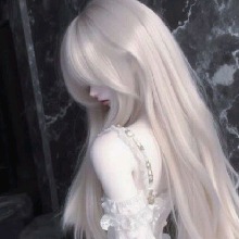 Guest_Sara398084