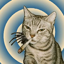 Guest_qqone