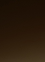 Guest_ZayHekoFox