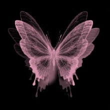 Guest_Emma390216