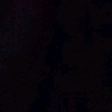 Guest_zxclvl