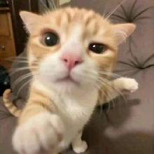 RobertoGonzalez5