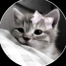 Guest_Mayara5