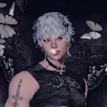 Guest_xDako