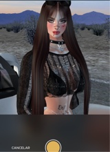 Guest_Dani194622