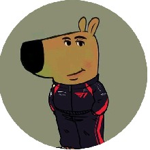 صورة الـavatar