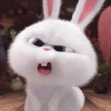 Guest_BonecaSemNome