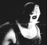 Avelus