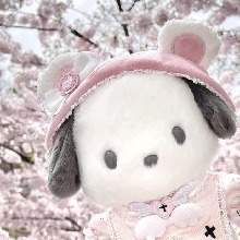 avpic