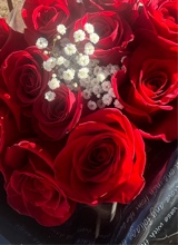 Guest_Mya3494