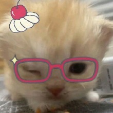 Guest_Pamns