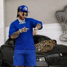 OGWoodZ