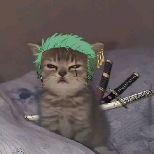 Guest_kaizo13
