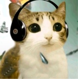 Guest_Ybzzz1