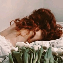 Guest_Fer498033
