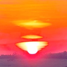 Guest_Zuckermaus