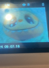 Guest_SierraCrawford1