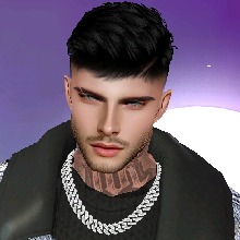avatarbild