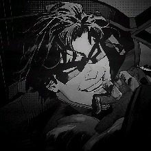 Guest_Alexander490935