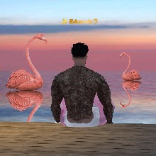 Guest_DuhBronks1